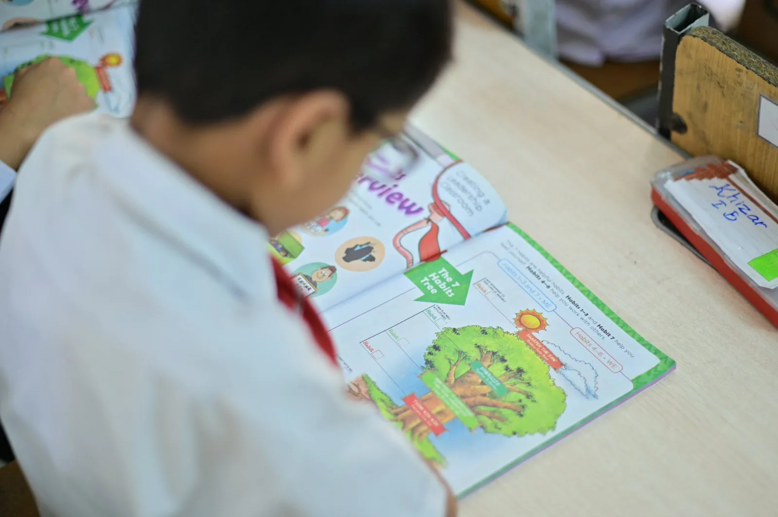 Close view of the LIM habit tree workbook activity